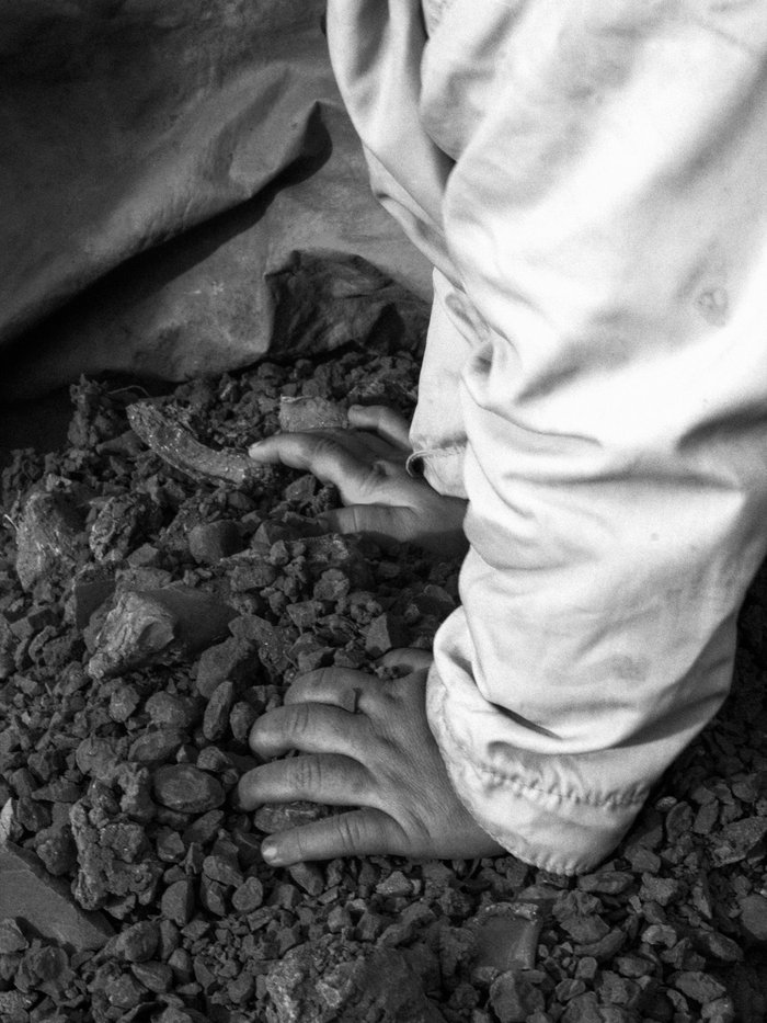 Manos trabajando la tierra, en blanco y negro